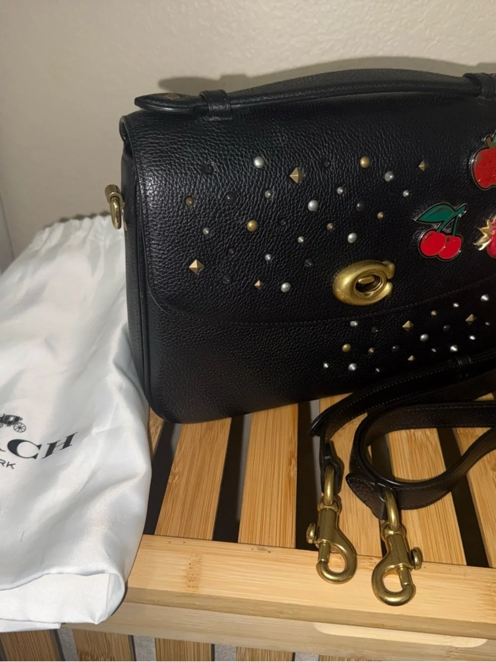 Coach Cassie - Picture 7 of 8